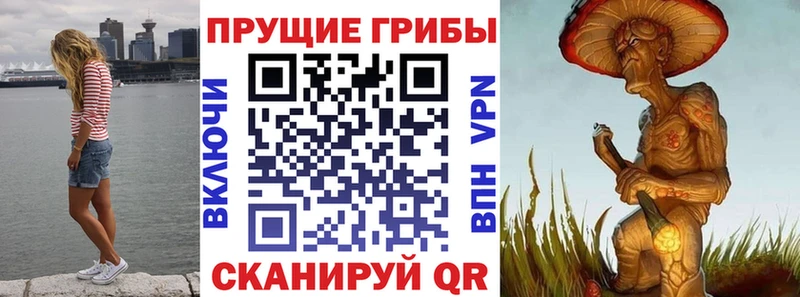 Псилоцибиновые грибы Magic Shrooms  Красный Сулин 